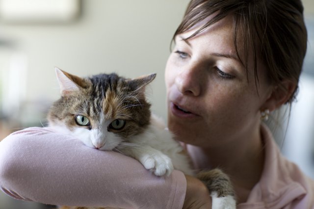Woman Shares Tender Moment with Tabby Cat