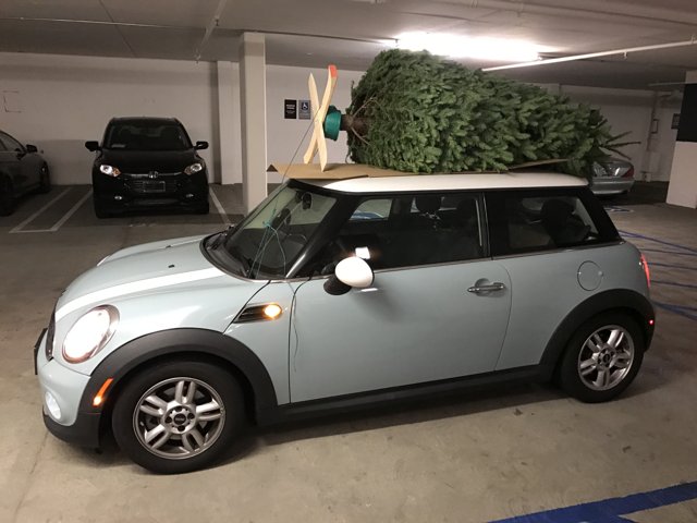 A Merry Little Mini: Celebrating Christmas in Style