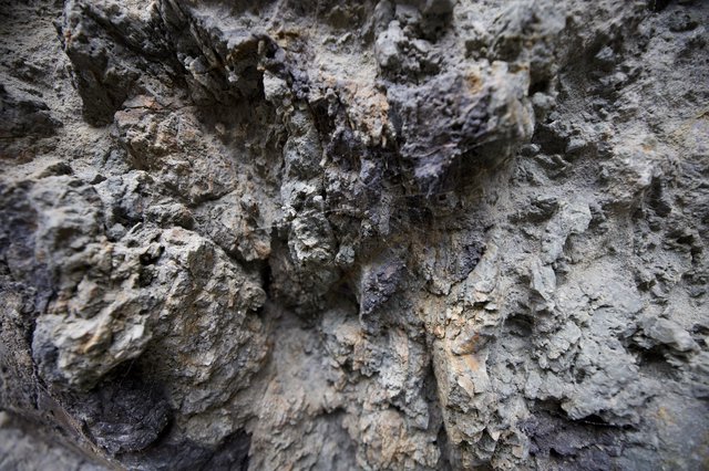 Ancient Weathered Limestone Rock Face Close-Up