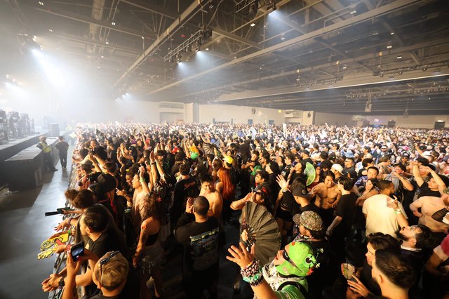 Massive Crowd Surges at Wobbleland 2026 Festival