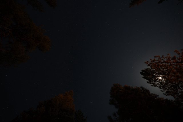 Moonlit Starry Night Over Lassen's Volcanic Forest