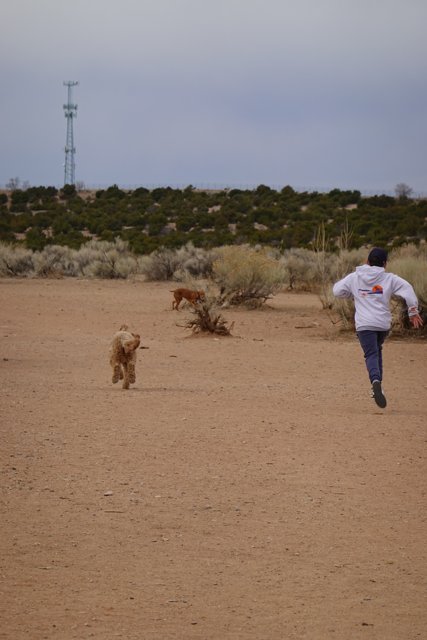 Running after the Pup