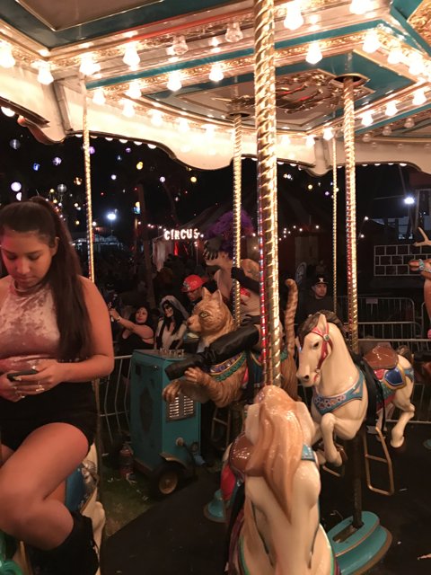 Nighttime Carousel Fun