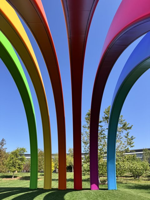 Arches of Vibrancy