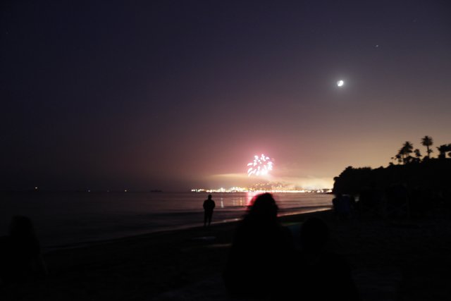 Beach Fireworks Spectacular