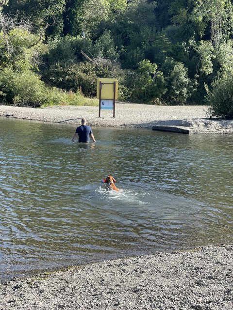 A Man and His Best Friend Taking a Dip
