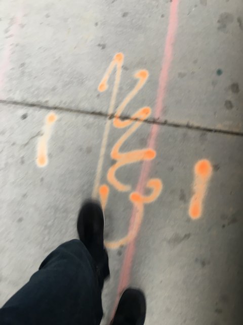 Orange Pathway