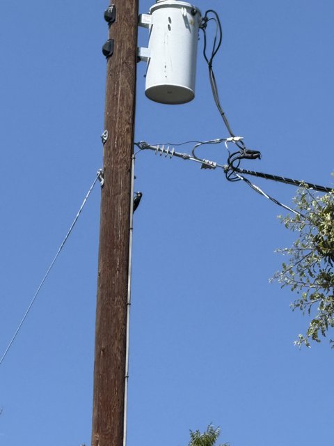 Harmony in Urban Heights