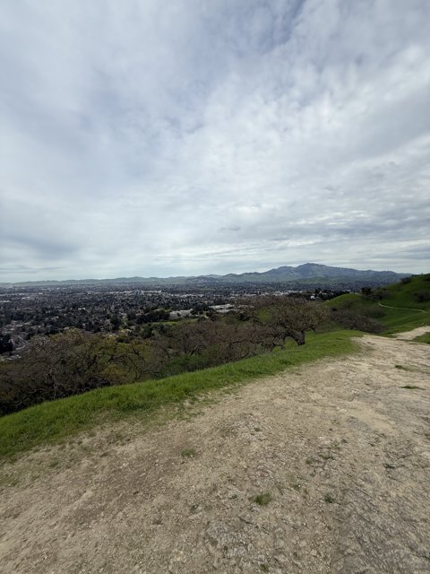 Tranquil Vistas of Walnut Creek