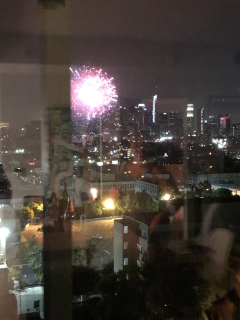 Fireworks Illuminate Metropolis Skyline
