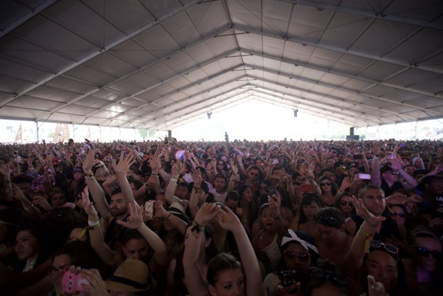 Concert-goers at Coachella raise their hands