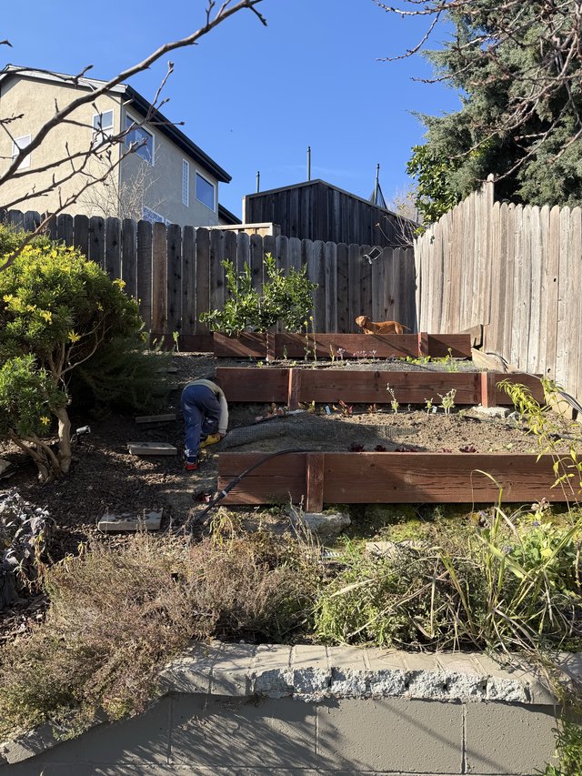 Terraced Garden Renovation on a Sunny Day