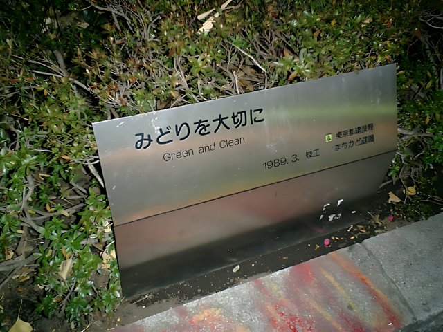 Green Tea Sign in Japanese