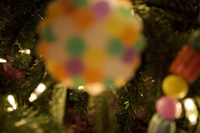 Colorful Christmas Ornament Through Evergreen Branches