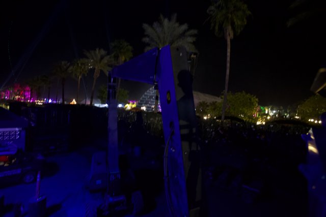 Palm Trees and Stage Lights