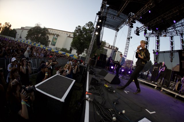 Electrifying Crowd at FYF Bullock 2015 Concert