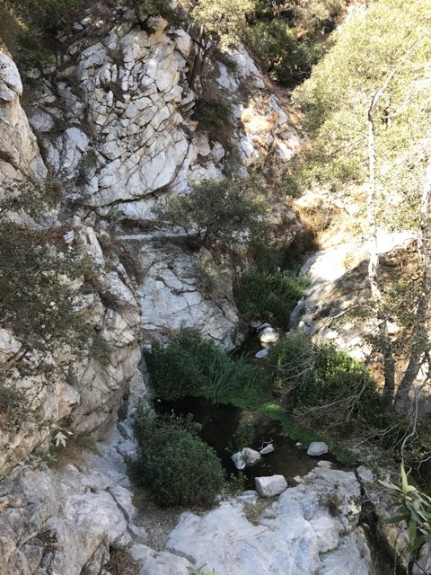 Slate Stream in Angeles National Forest