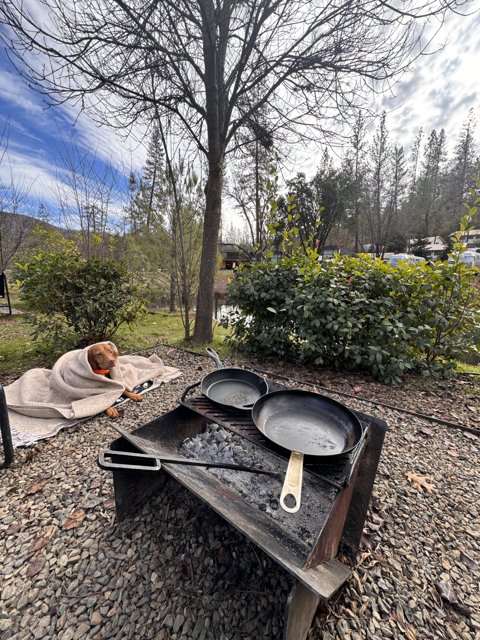 Outdoor Getaway: Grilling and Chilling Experience