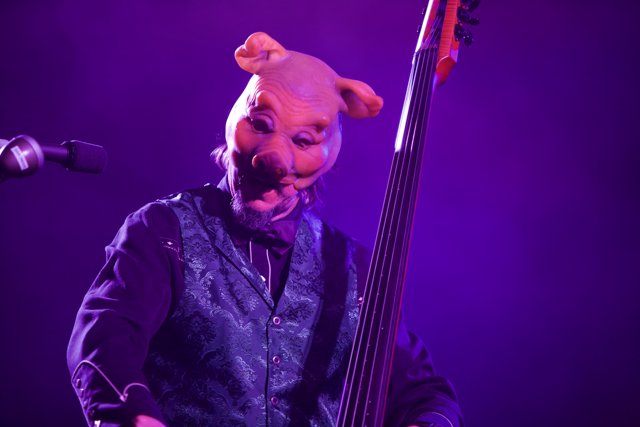Pig mask bass player rocks Coachella 2010
