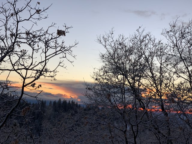 Winter Sunset in the San Bernardino National Forest
