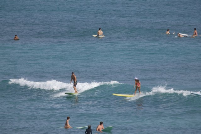 Surf's Up: A Day at the Hawaiian Beach