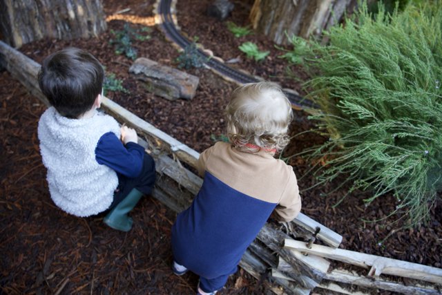Enchanted Explorers: A Woodland Adventure