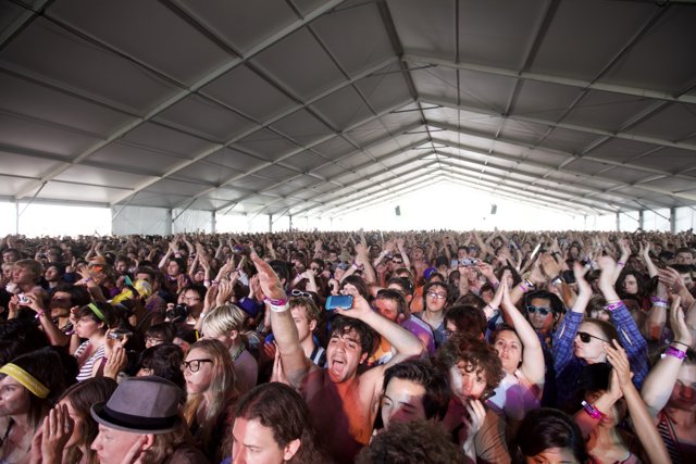 Coachella Crowd Goes Wild