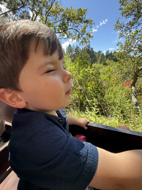 A Boy's Moment in Nature