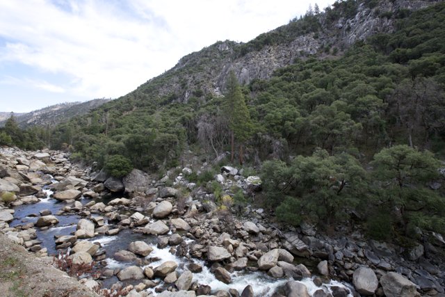 Resilience of Nature - The Rocky Canyon River