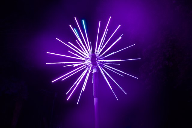 Cosmic Firework