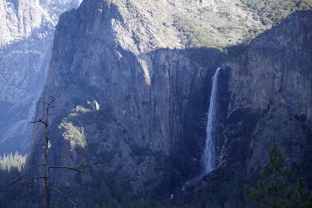 Bridalveil Fall Cascading Through Yosemite's Winter Cliffs