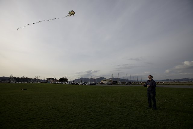 Kite Flying Fun in the Field