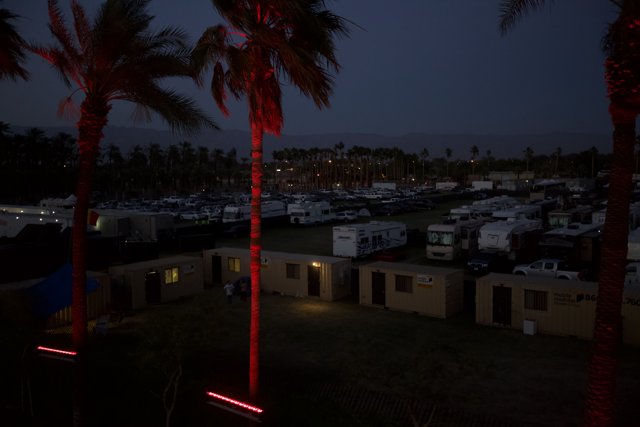 Red Light on Palm Tree at Coachella Campground