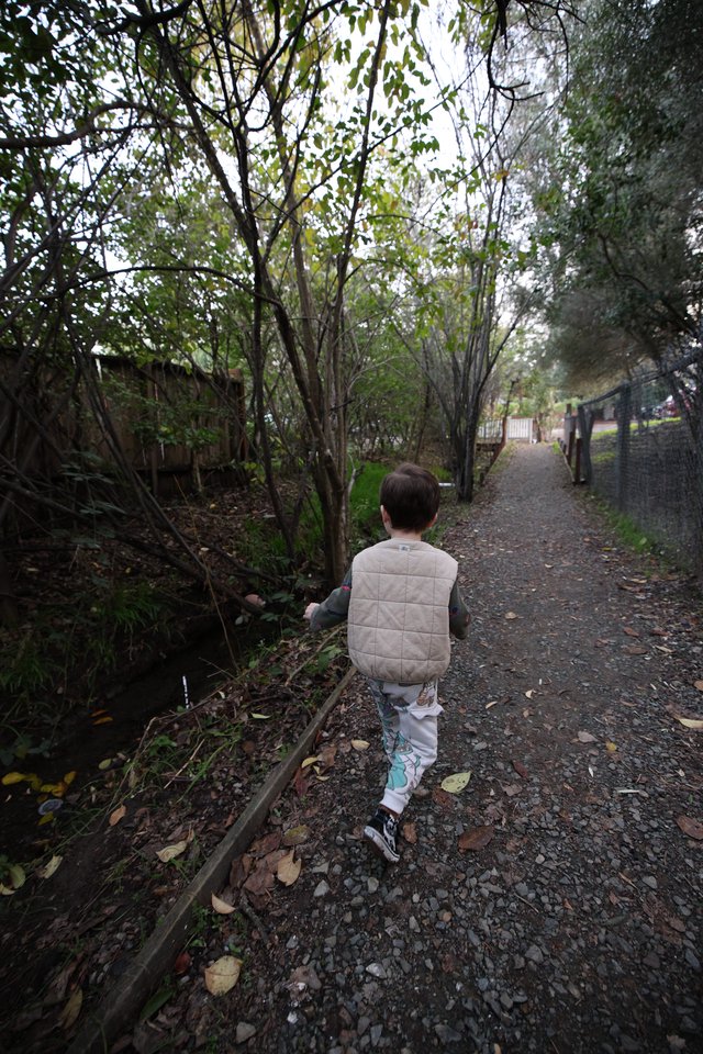 Child Walking Along Wooded Path on Sunday Stroll