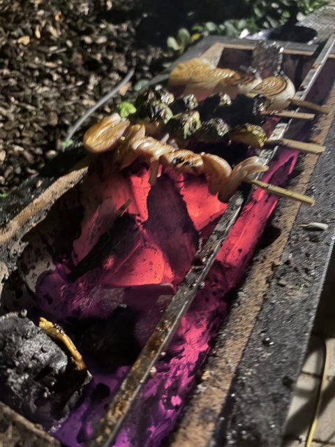 Grilling Magic Under the Stars
