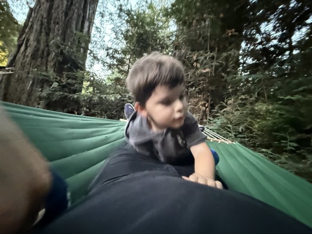 Forest Playfulness