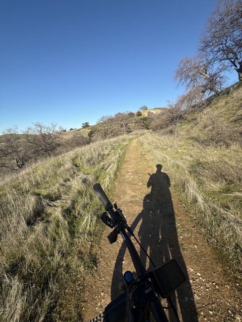 Shadows on the Trail