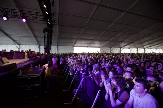 Purple Spotlight on a Jam-Packed Concert Crowd