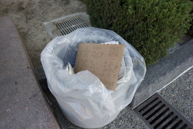 Discarded Cardboard in Walkway Trash Can