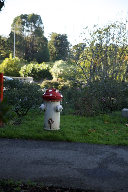 Guardian of the Road: The Red and White Hydrant