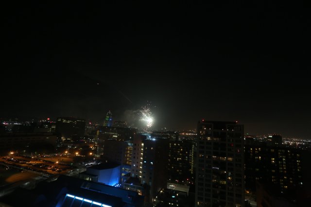 Fireworks Illuminate the Metropolis Skyline
