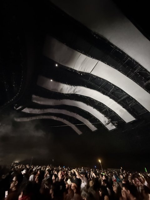 Electric Night Under the Stars