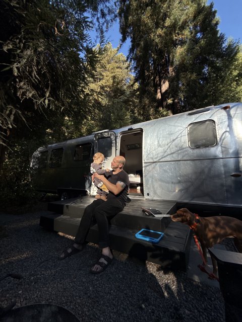 Harmonies Among the Redwoods