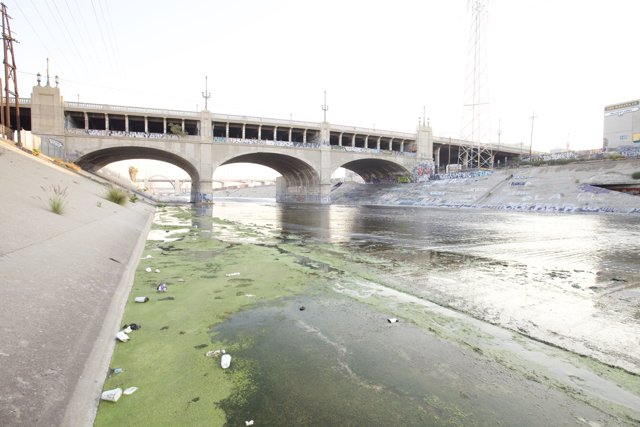 Pollution Plagued Bridge