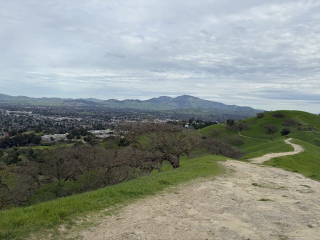 Serene Trails of Walnut Creek