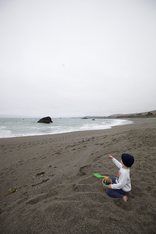 Child Points to the Sky on Misty California Beach