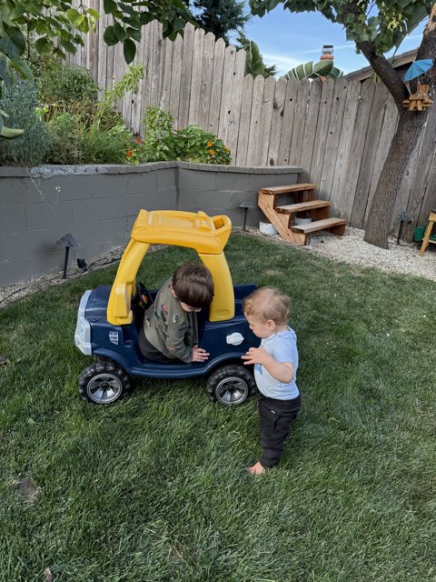 Backyard Adventures