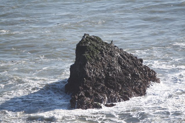 Lone Rock in the Sea