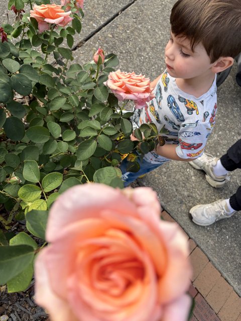 A Moment of Wonder