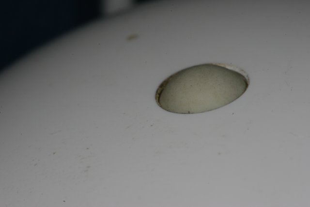 White Egg with a Hole